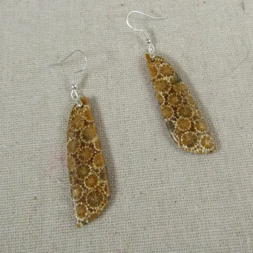 Gemstone Drop Earrings Fossilized
